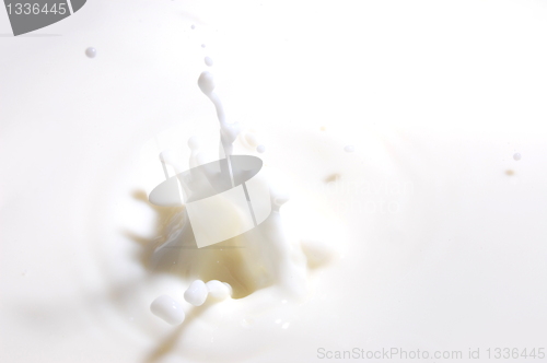 Image of milk splash