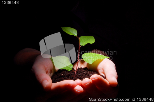 Image of hands soil and plant showing growth