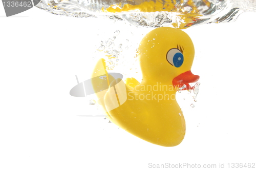 Image of rubber duck