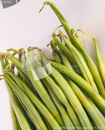 Image of dwarf beans close