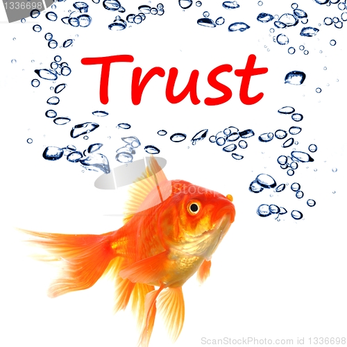 Image of trust