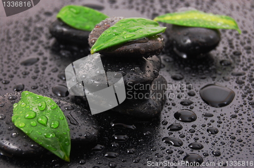 Image of wellness concept with zen stone