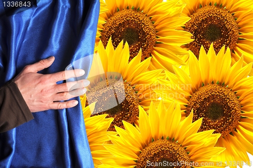 Image of summer flowers