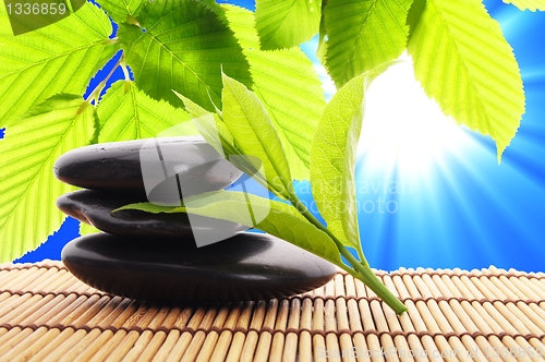 Image of zen