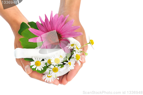 Image of Young  woman holding mortar with herbs – Echinacea, ginkgo, chamomile