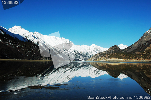 Image of Landscape in winter