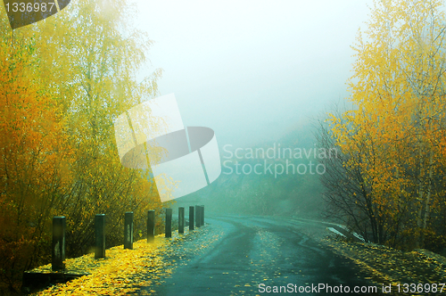 Image of Fascinating Scenery in Autumn