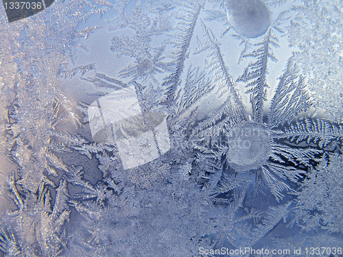 Image of winter glass