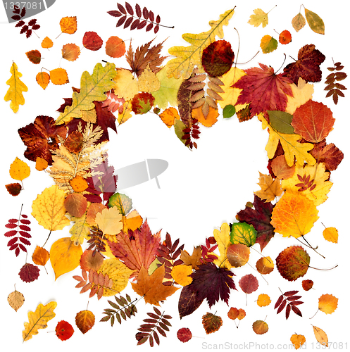 Image of form the heart of autumn leaves