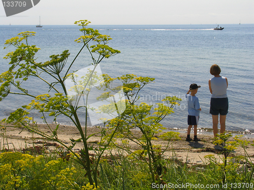 Image of Summer at the sea.