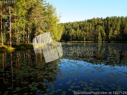 Image of Lake in Finland 