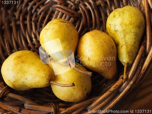 Image of Pears 