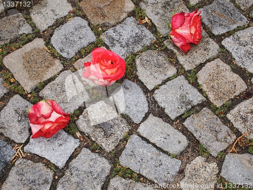 Image of Three Roses