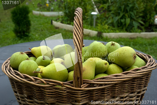 Image of Pears.