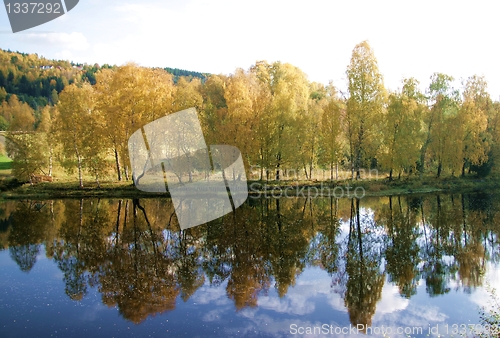 Image of River bank in fall