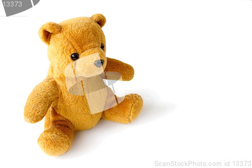 Image of teddy bear left