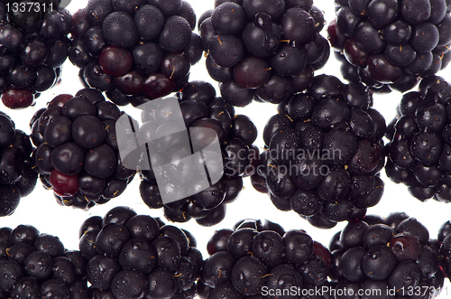 Image of Blackberry background