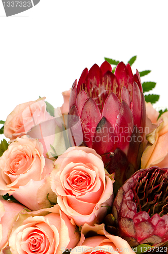 Image of Pink roses