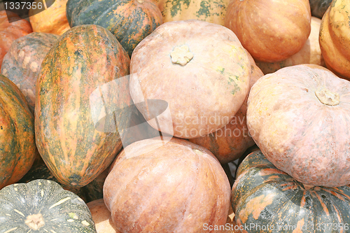 Image of Background of pumkins