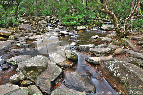 Image of cascade of water through forest