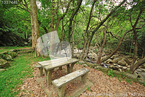 Image of Picnic place in forest 