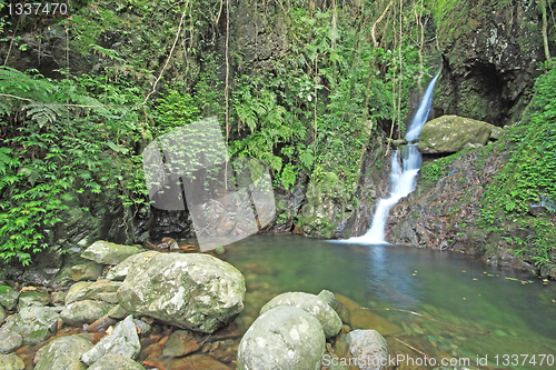 Image of Close-up of a beautiful relaxing waterfall 