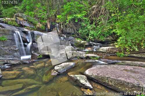 Image of cascade of water through forest