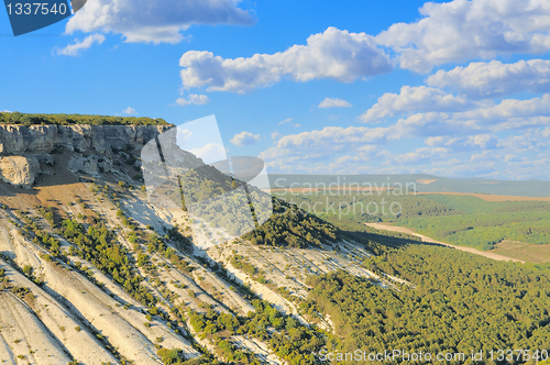 Image of Mountain and forest