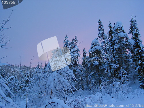 Image of Evening in winter