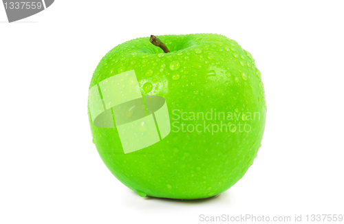 Image of Wet green apple with water spray