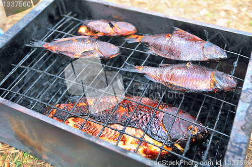 Image of Smoked fish on the grill