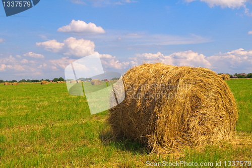 Image of Straw bales on field