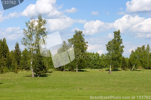 Image of Summer landscape