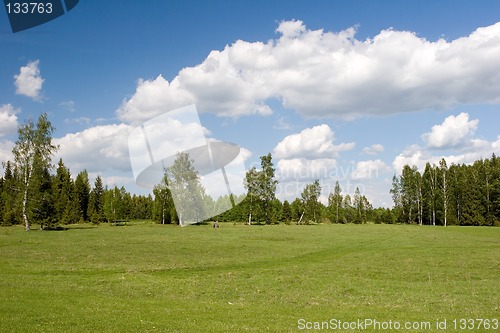 Image of Summer landscape