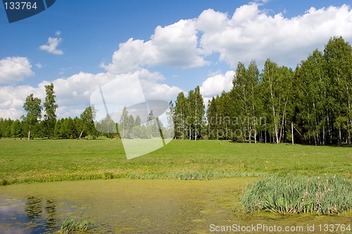 Image of Summer landscape