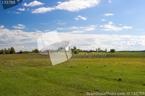 Image of Summer landscape