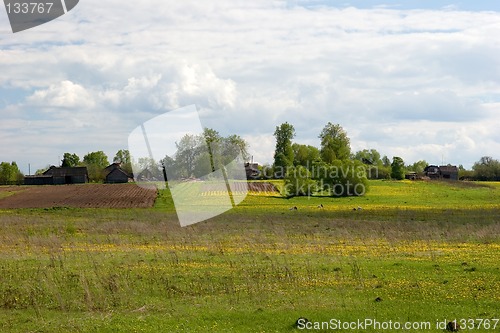 Image of Summer landscape