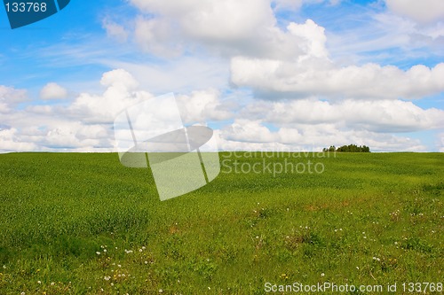 Image of Summer landscape