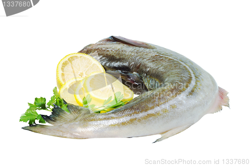 Image of Raw fish, decorated with lemon and herbs