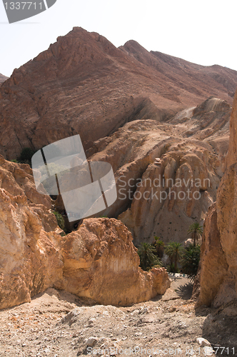 Image of An oasis in the mountainous part of the Sahara