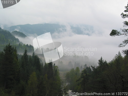 Image of Fog