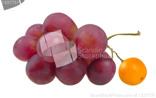 Image of Red grapes symbolizing the difference