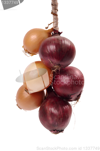 Image of Bundle of onion bulbs isolated on white