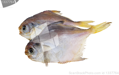 Image of Dried fish. Piranha.