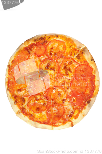 Image of Vegetarian pizza  with cheese and tomatoes.