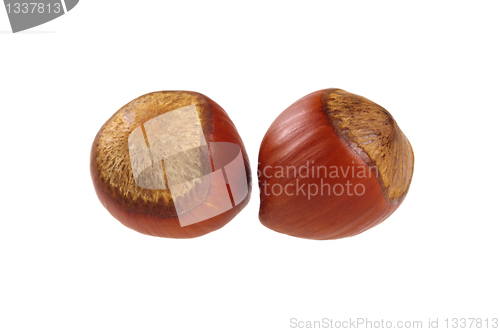 Image of Two unpeeled hazelnut