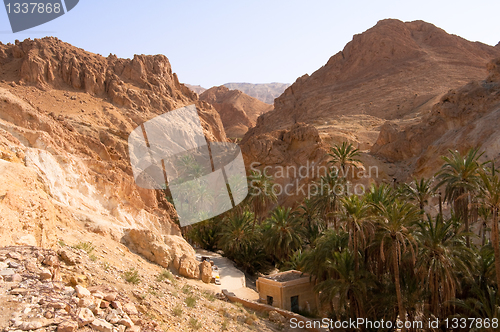 Image of An oasis in the mountainous part of the Sahara