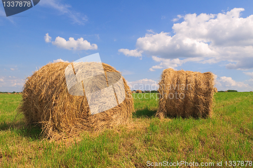 Image of Straw bales on field