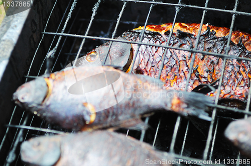 Image of Smoked fish on the grill