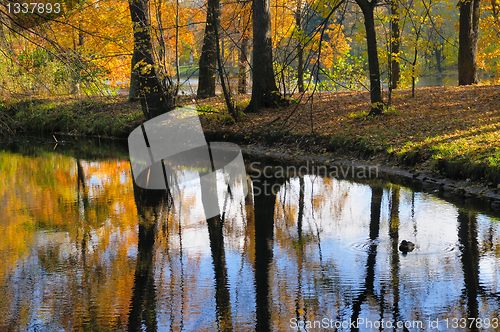 Image of Autumn landscape. Russia